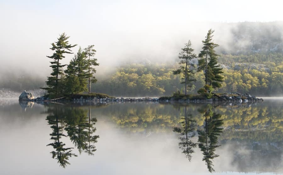 Mist over a still lake with pines growing on rock, the shoreline this trade works on